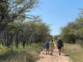 Bush Walks at Sunset Lodge & Safaris