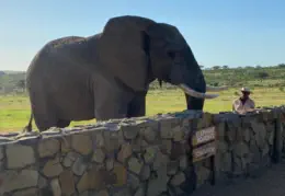 Activities from Sunset Lodge & Safaris near Hoedspruit