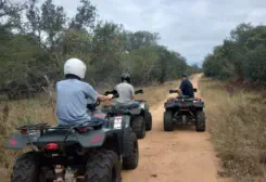 Quad Bike Ride near Sunset Game Lodge on Game Reserve