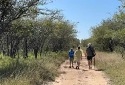 Sunset Game Lodge Bush Walks